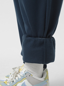 Спортивні штани NIKE SPORTSWEAR PHOENIX FLEECE модель FZ5996-478 Фото