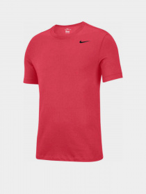 Футболки и поло NIKE Dri-FIT модель AR6029-646 Фото