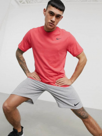 Футболки и поло NIKE Dri-FIT модель AR6029-646 Футболки и поло NIKE Dri-FIT модель AR6029-646 Фото