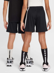 Шорти NIKE Dri-FIT Swoosh модель FV0269-010 Фото