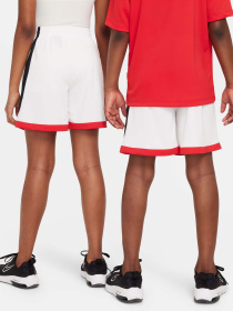 Шорты спортивные NIKE DRI-FIT TRAINING модель FV0269-100 Фото