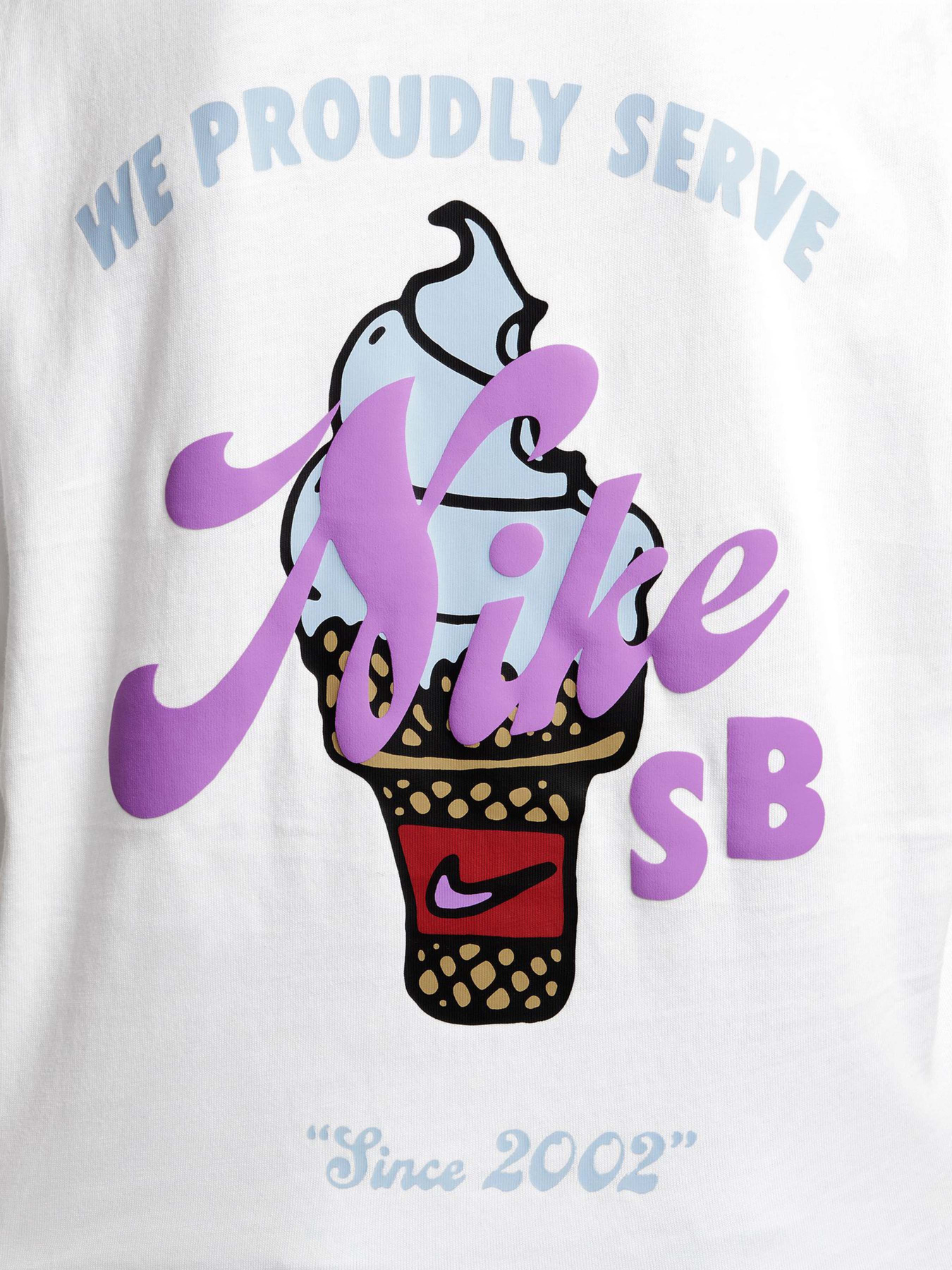 Футболка NIKE SB модель HM6312-100 Фото