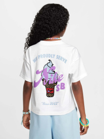 Футболка NIKE SB модель HM6312-100 Фото