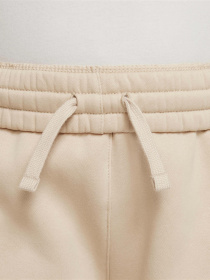 Спортивні штани NIKE SPORTSWEAR CLUB FLEECE модель FD2933-126 Фото