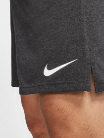 Шорти NIKE Dri-FIT модель CJ2044-032 Фото