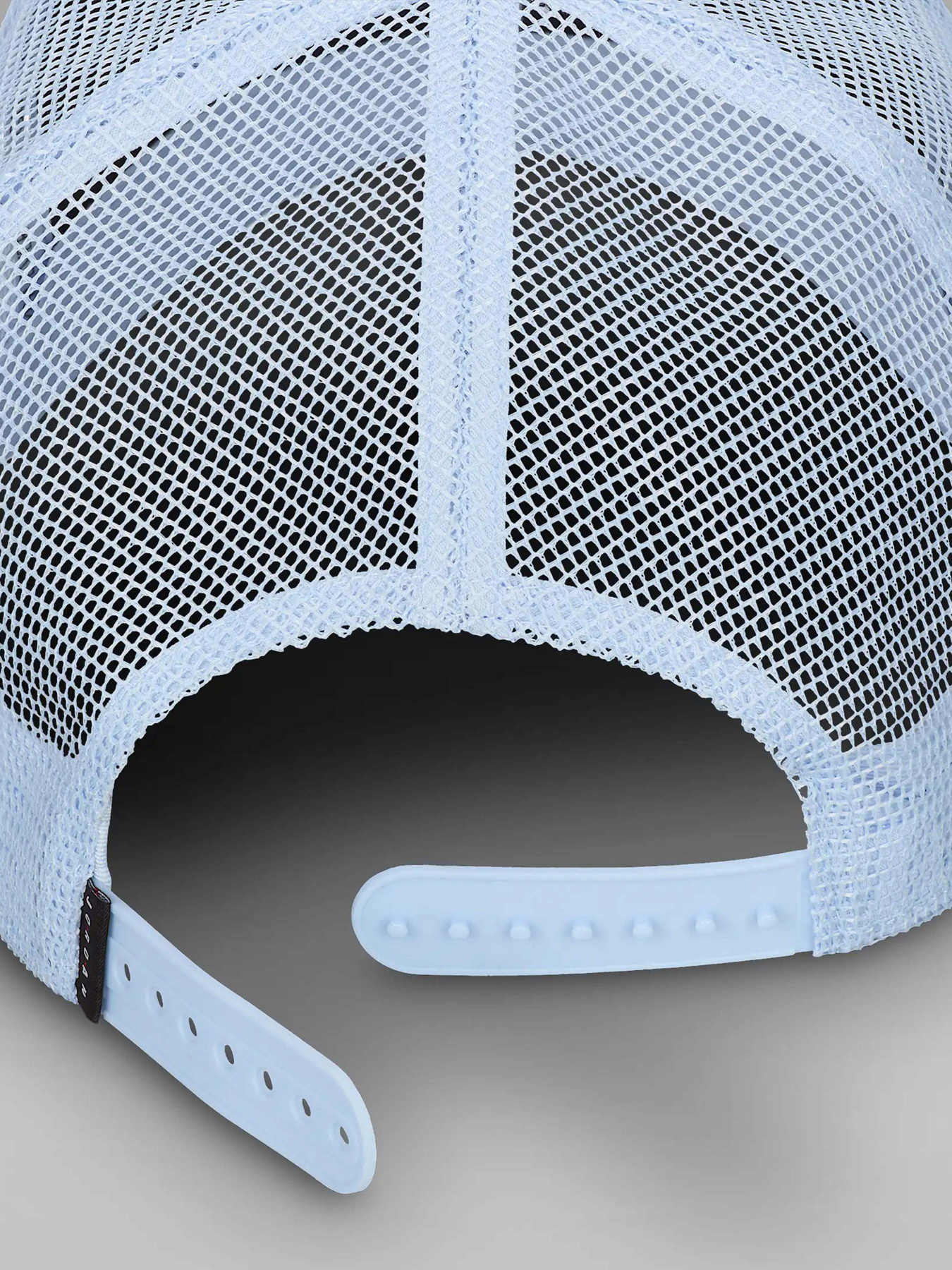 Кепка NIKE Jordan Rise модель FZ0774-407 Фото