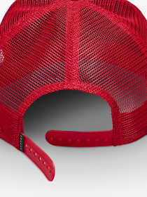 Кепка NIKE Jordan Rise модель FZ0774-687 Фото