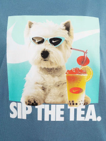 Футболка NIKE SPORTSWEAR модель HQ2337-006 Фото