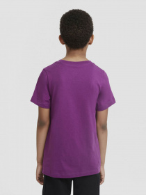 Футболка NIKE Sportswear модель AR5252-503 Фото