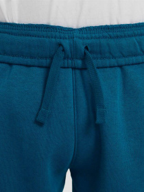 Штаны спортивные NIKE Sportswear JDI модель DB3255-301 Фото