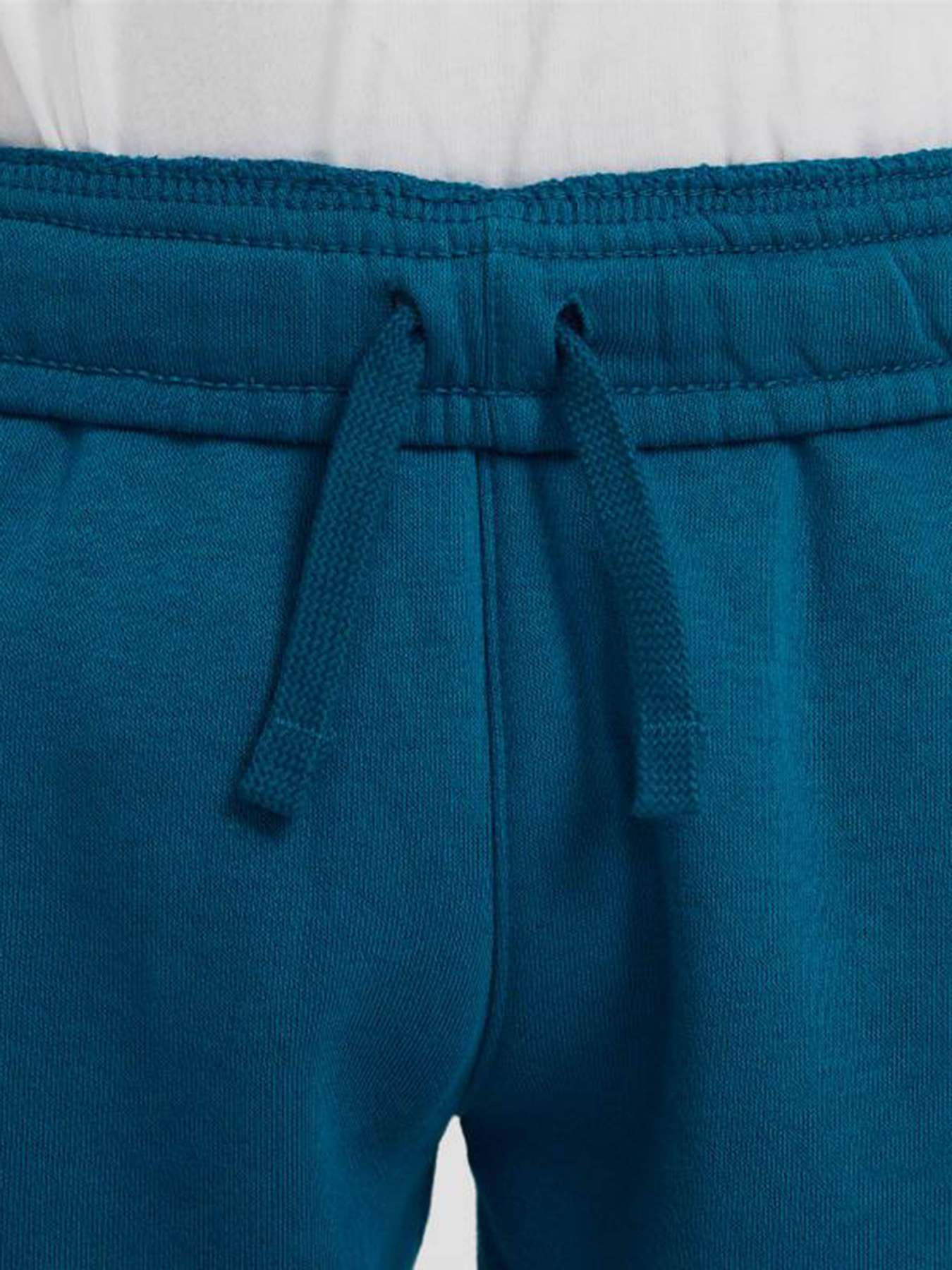 Спортивні штани NIKE Sportswear JDI модель DB3255-301 Фото