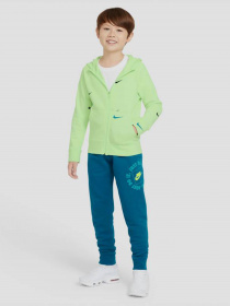 Спортивні штани NIKE Sportswear JDI модель DB3255-301 Фото