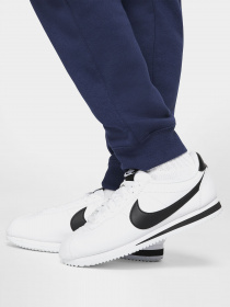 Штаны спортивные NIKE Sportswear Club Fleece модель CI2911-410 Фото