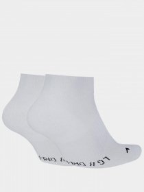 Набір шкарпеток NIKE Multiplier Low модель CV2617-100 Фото