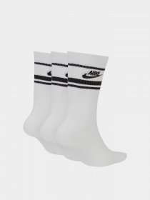 Набір шкарпеток NIKE Crew Essential Stripe модель CQ0301-103 Фото