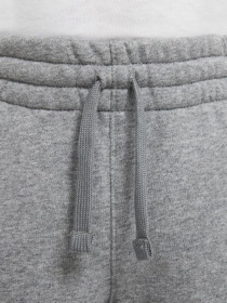 Штаны спортивные NIKE Sportswear Jogger модель DA0864-091 Фото