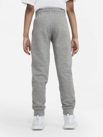 Штаны спортивные NIKE Sportswear Jogger модель DA0864-091 Фото