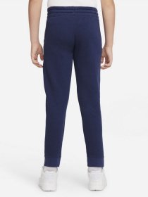 Штаны спортивные NIKE Sportswear Jogger модель DA0864-410 Фото