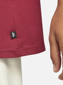 Футболки и поло NIKE SB модель DM2243-690 Фото