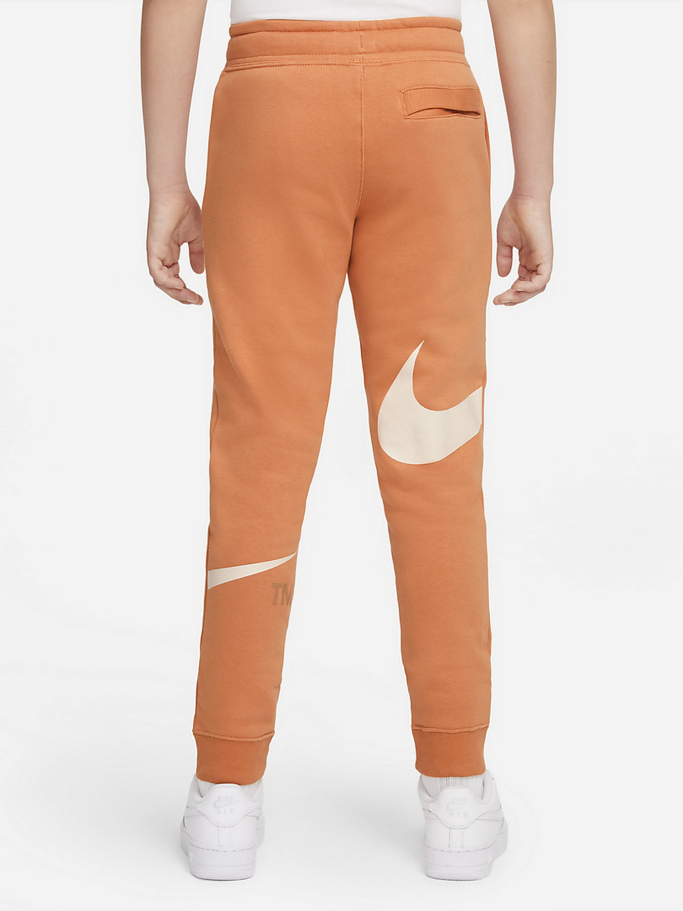 Штаны спортивные NIKE Sportswear Swoosh модель DD8721-808 Фото