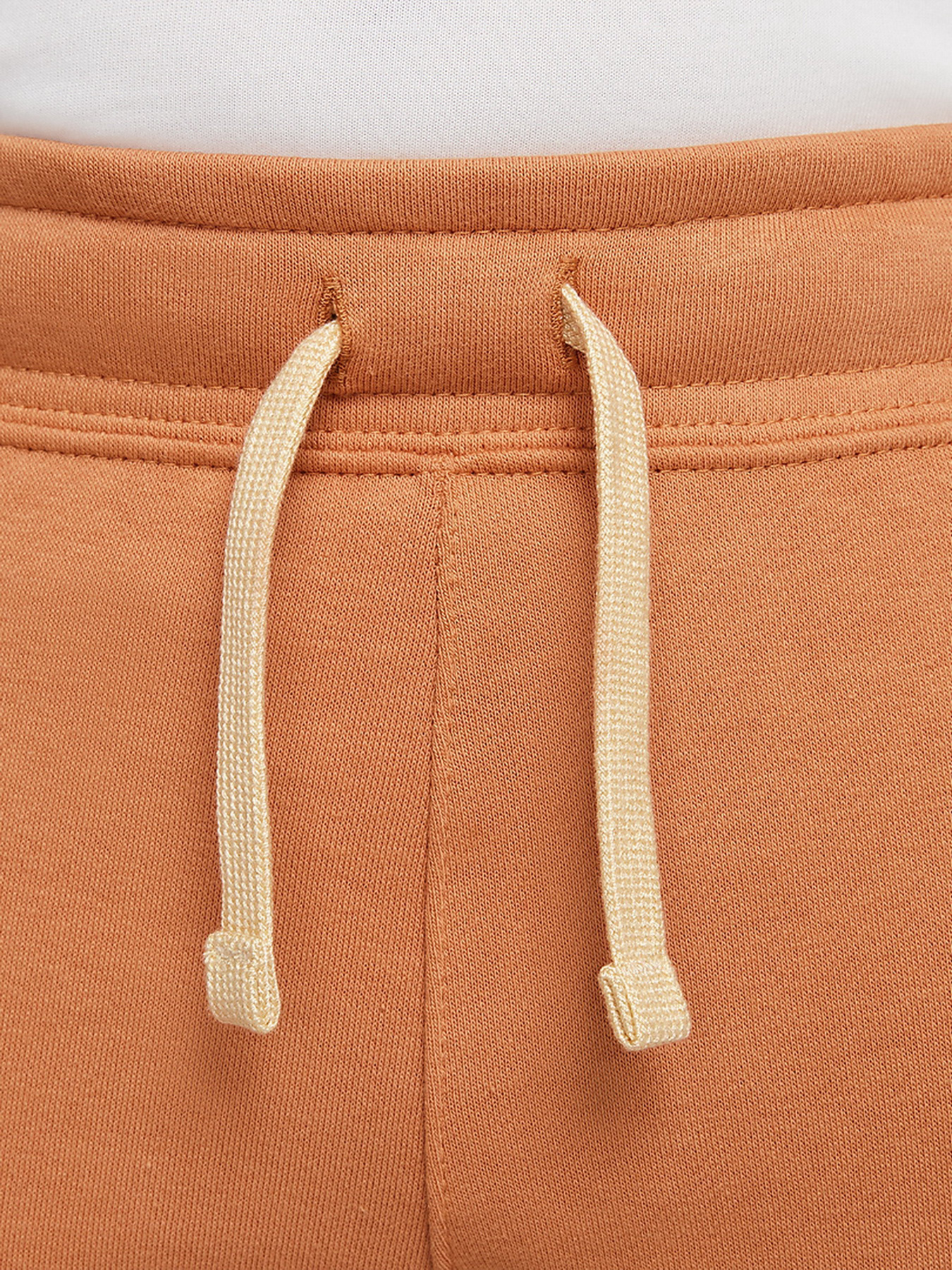 Штаны спортивные NIKE Sportswear Swoosh модель DD8721-808 Фото