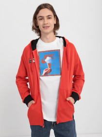 Кофта NIKE M NK FC PO HOODIE FZ модель DA5577-673 Фото