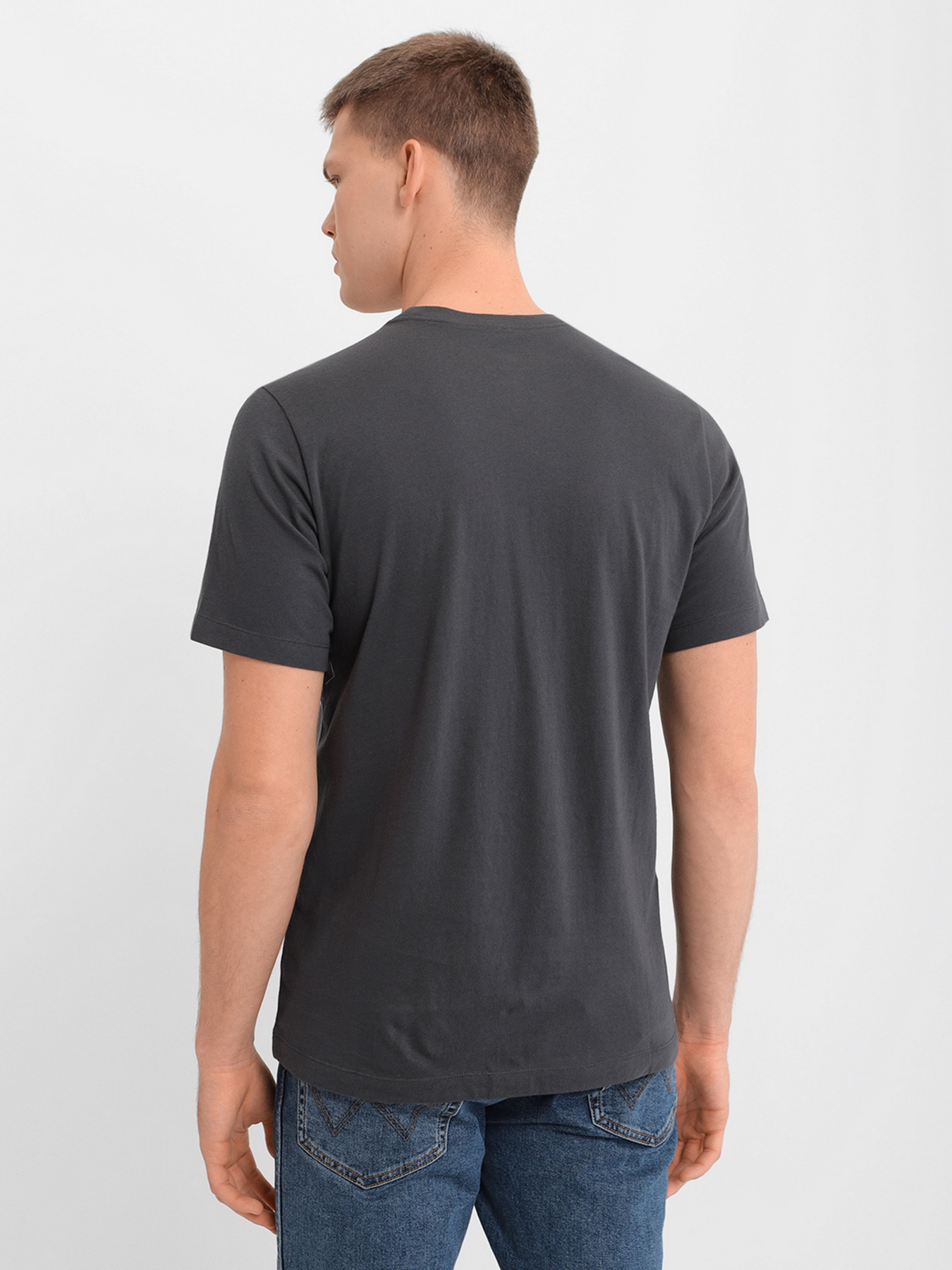 Футболка NIKE Reverse модель DD3468-060 Фото