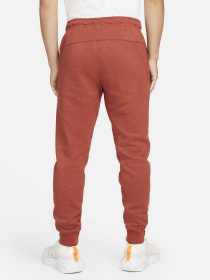 Спортивні штани NIKE Sportswear Sport Essentials+ модель DH1036-670 Фото