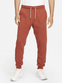 Спортивні штани NIKE Sportswear Sport Essentials+ модель DH1036-670 Фото