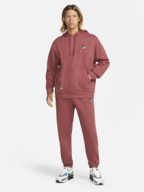 Худи NIKE Sportswear Sport Essentials+ модель DM8882-661 Фото