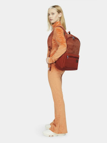 Рюкзаки NIKE Heritage модель DB3892-246 Рюкзаки NIKE Heritage модель DB3892-246 Фото