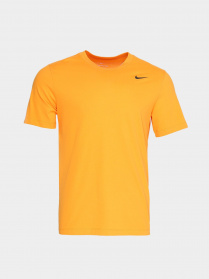 Спортивна футболка NIKE Dri-FIT модель AR6029-886 Фото