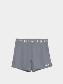Шорты спортивные NIKE Dri-FIT Trophy модель DA1099-085 Фото