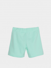 Шорты NIKE Sportswear модель DA1405-379 Фото