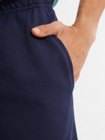 Повседневные шорты NIKE Dri-FIT модель DA5556-451 Фото