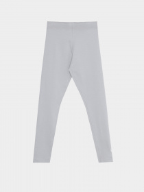 Спортивные леггинсы NIKE Sportswear Favourites модель DD6482-077 Фото