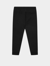 Штани спортивні GUESS Модель L2YQ46.KAIJ1;JBLK Фото