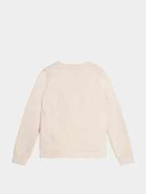 Свитшот GUESS модель J2BQ05.KAD73;G67C Фото