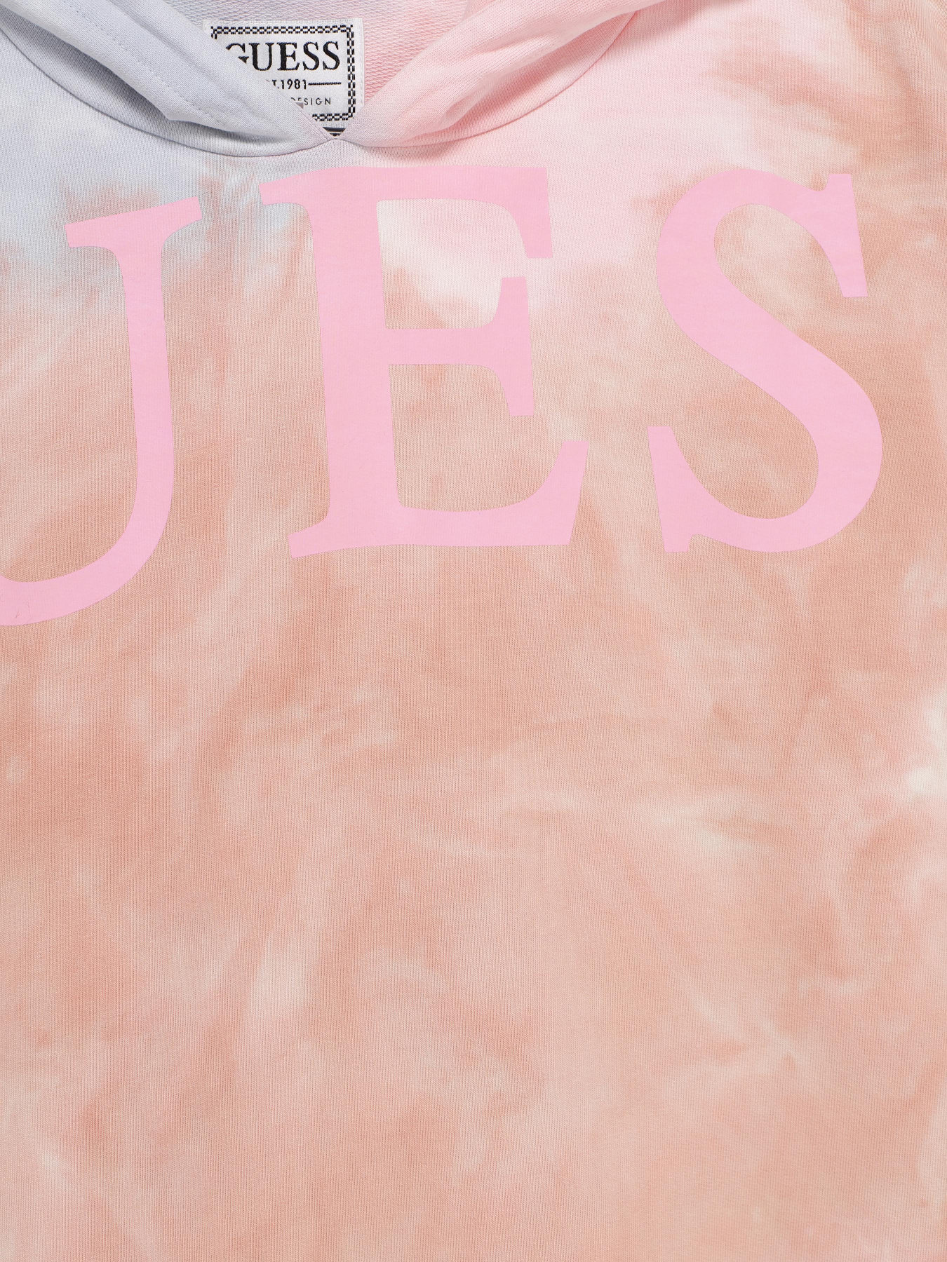 Худі GUESS модель J3YQ01.KA6R3;F01O Фото