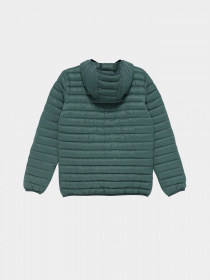 Демисезонная куртка GUESS модель H93J00.WCAO0;F83J Фото