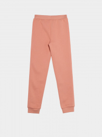 Спортивні штани GUESS модель J3BQ15.KBXX1;G64X Фото