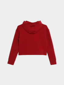 Худи GUESS модель J2BQ35.FL03S;G524 Фото