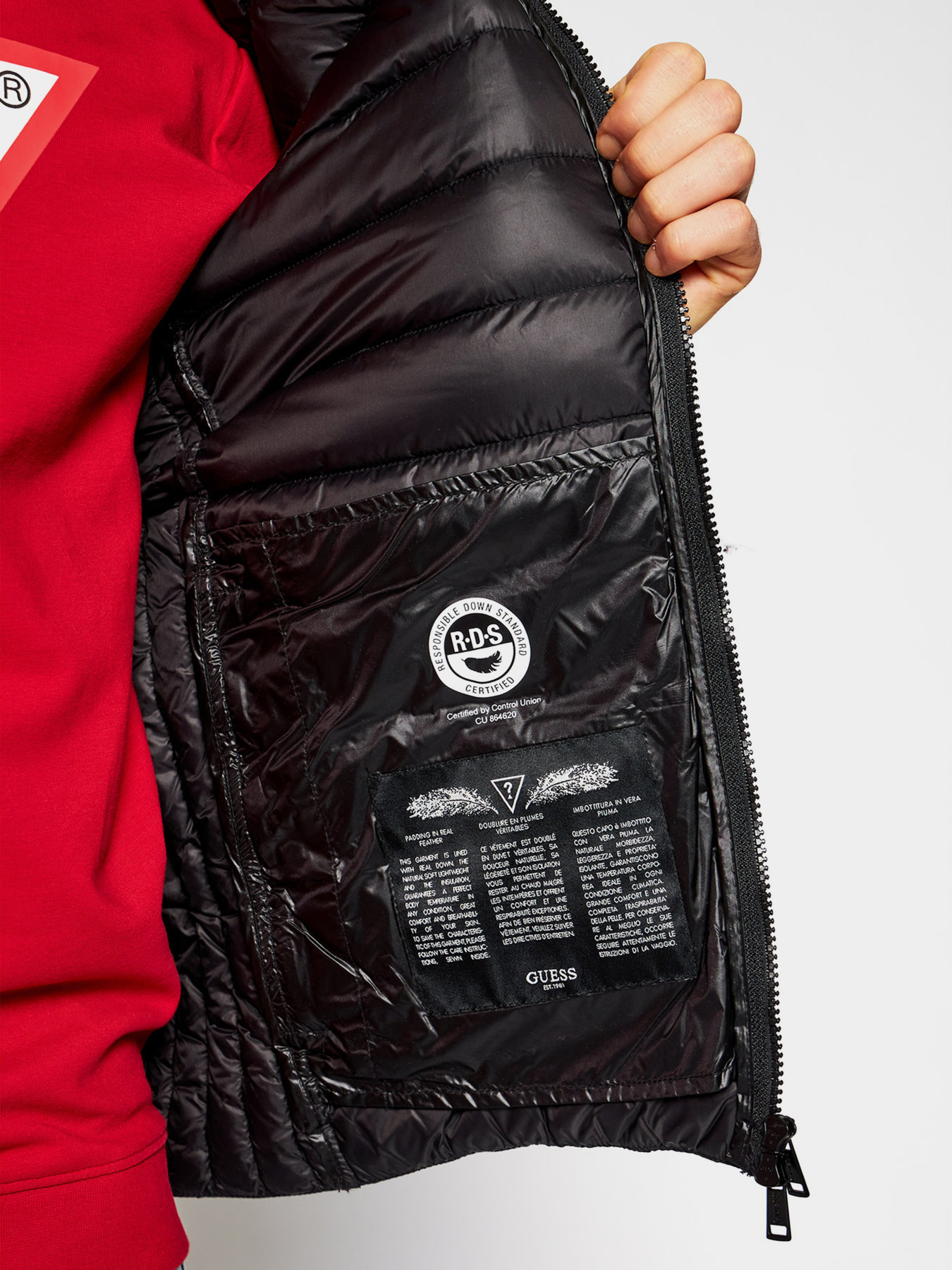 Демісезонна куртка GUESS модель M1RL47-WDQ50-JBLK Фото