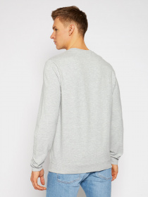 Свитшот GUESS Audley модель M1RQ37-K6ZS1-LHY Фото