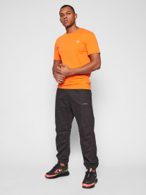 Футболки и поло GUESS модель U94M09-K6YW1-G3G4 Фото