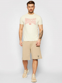 Повседневные шорты GUESS модель M1GD55-K68I1-G036 Фото