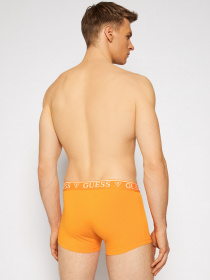 Набір трусів GUESS модель U94G16-K6YW1-F4F8 Фото