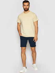 Повседневные шорты GUESS модель M1GD18-WDP31-G77G Фото