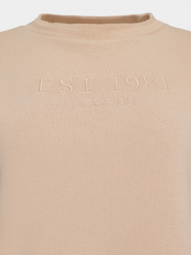 Свитшот GUESS модель W1YQ33.K9Z21;G1G2 Фото