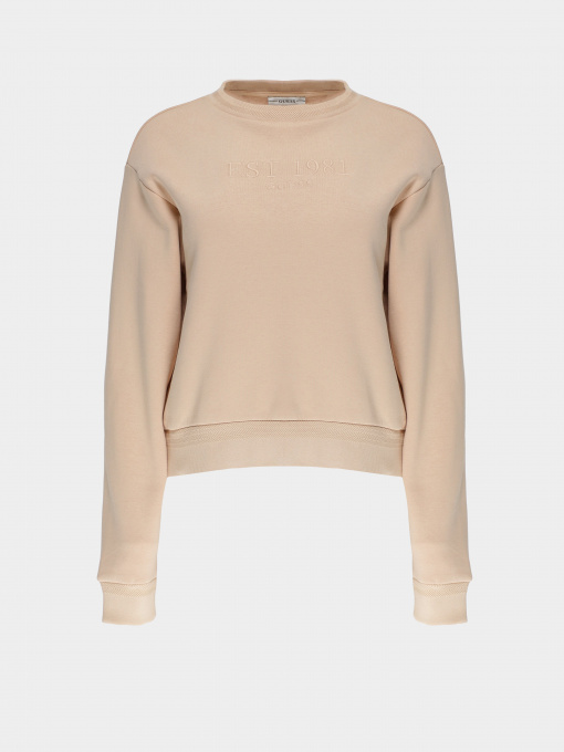Свитшот GUESS модель W1YQ33.K9Z21;G1G2 Фото